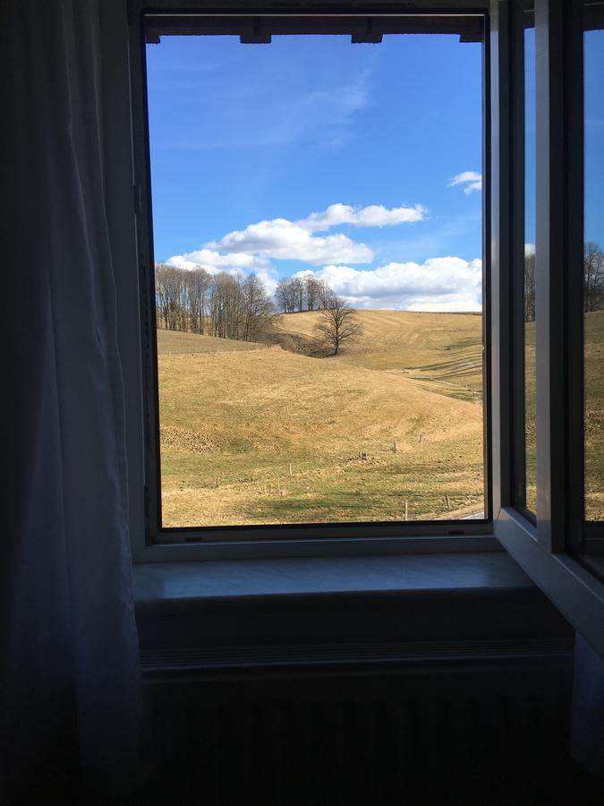 Apartment Richtermühle Saupsdorf